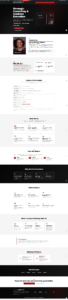 Business website development Philippines example for Red Soul Solutions homepage
